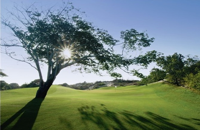 Le Grand Ho Tram de Bluffs (